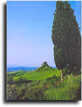 Paesaggio di Montaione