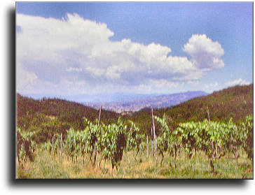 Montelupo Fiorentino