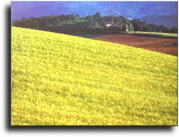 Paesaggio di Scarperia