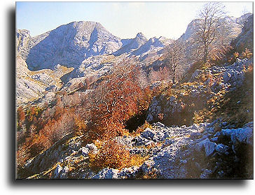 Paesaggio