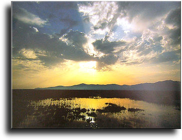 Paesaggio
