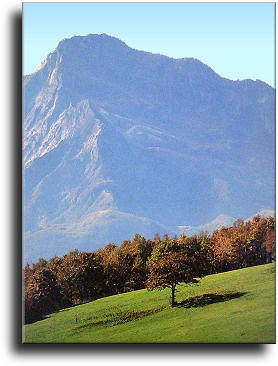 Landescape of Minucciano
