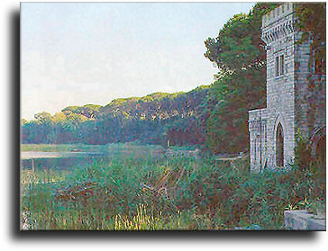 The tower on Puccini lake