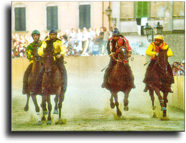 Quarters Horse Race