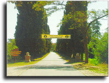 Viale del Borgo