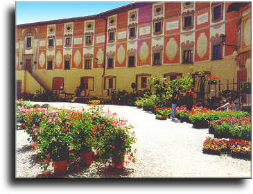 Flowers Market