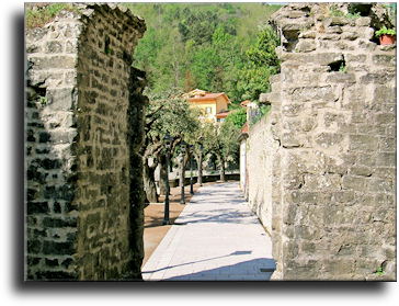 Marliana