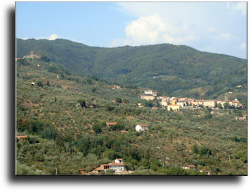 A view of Massa e Cozzile