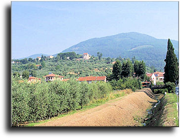 Montale