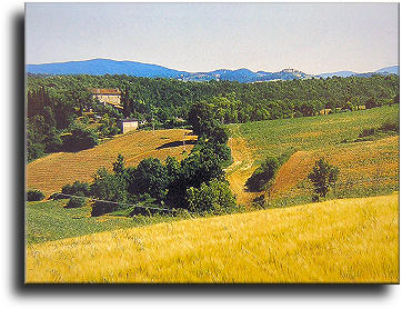 Paesaggio di Casole d`Elsa