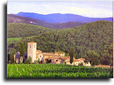Gaiole in Chianti
