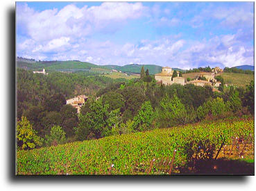 Paesaggio in Gaiole in Chianti