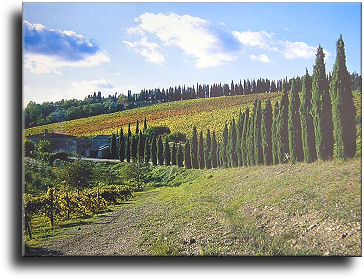 Paesaggio
