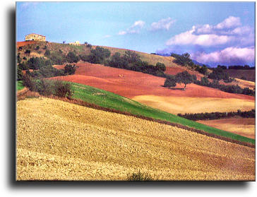 Paesaggio di Radicondoli
