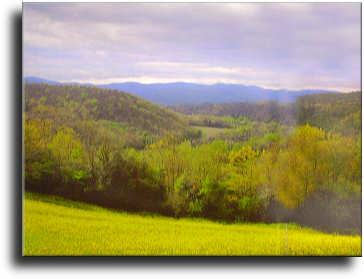 Paesaggio di Sovicille