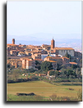 A particular of Torrita di Siena