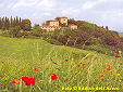 A view of the hamlet of Castelnuovo Tancredi Buonconvento, in the province of Siena.