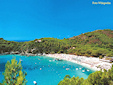 A view of the Fetovaia beach in the Elba isle, province of Livorno