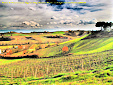 A fine late afterno on view of the Tuscan countryside in March.