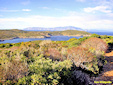 A nice view of the gulf of the Spalmatoio in Giannutri, in the municipality of the  island of Giglio in the province of Grosseto