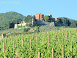 A beautiful view of the Brolio Castle in the town of Gaiole in Chianti, province of Siena.