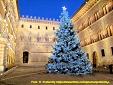 A view of a square of Siena with Christmas tree