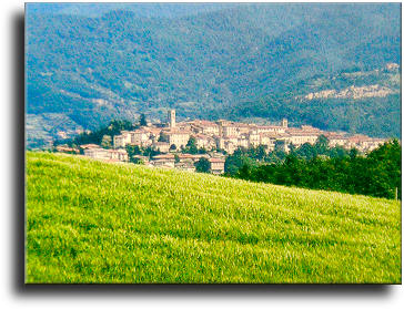 Veduta di Bibbiena