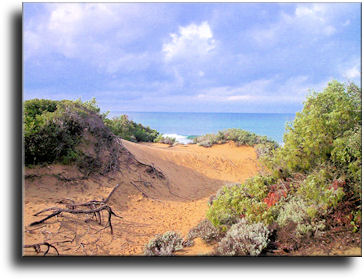 Spiaggia di Rimigliano