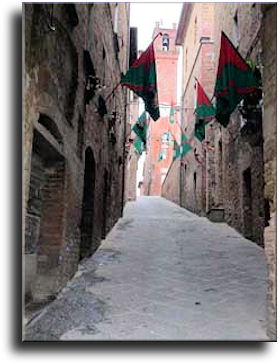 Palio dei Somari