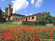 Il Castello della Chiocciola (Monteriggioni) sul versante nord-orientale della Montagnola